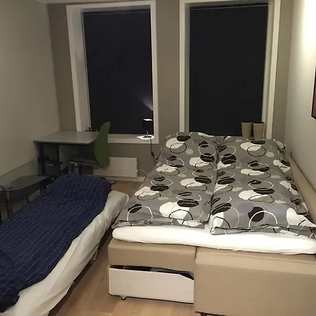 Neumannsgate Apartamento *
